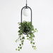 Wren - Sky Garden Planter Light BO-HA