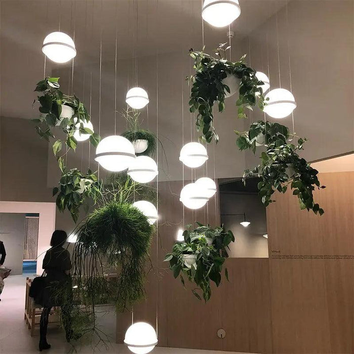 Alva - Planter Light Pendant Chandelier  BO-HA   