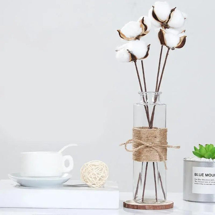 Ansa - Nordic Glass Vase  BO-HA   