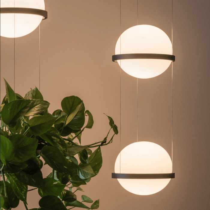 Alva - Planter Light Pendant Chandelier  BO-HA   
