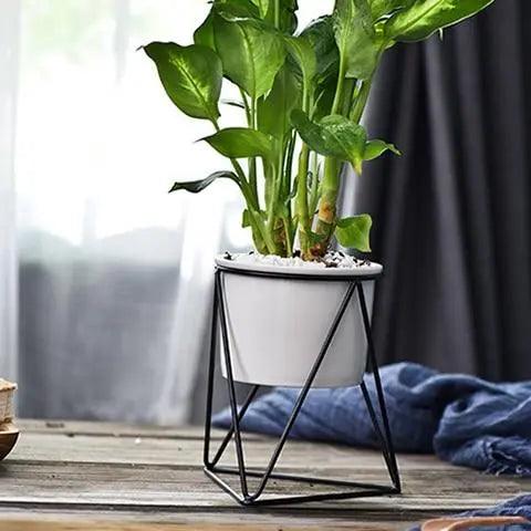 Blenda - Nordic Geometric Rack  BO-HA White Pot / Black Rack  