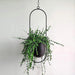 Gudrun - Metal Hanging Pot  BO-HA   