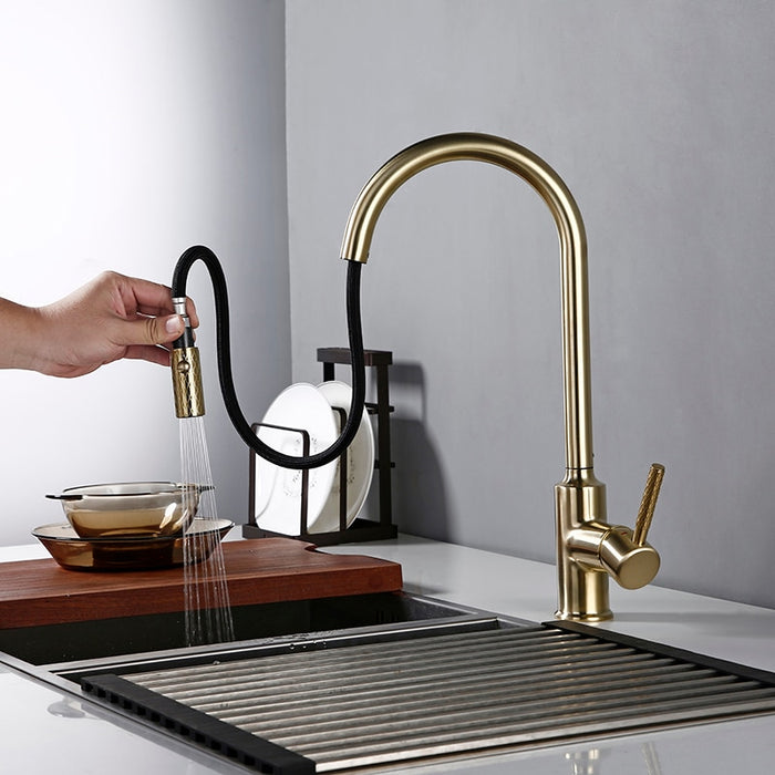 Sela - Gold Kitchen Faucet With Sprayer  BO-HA   