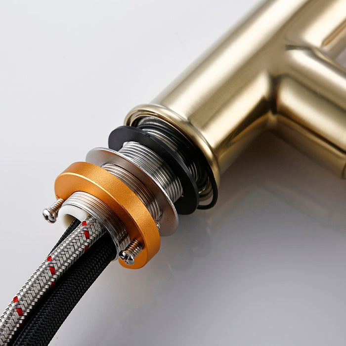 Sela - Gold Kitchen Faucet With Sprayer  BO-HA   