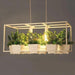 Hemma -  Iron Garden Planter Light Chandelier  BO-HA White  