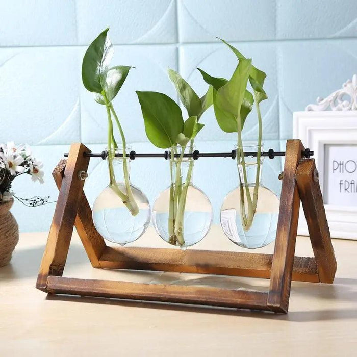Karine - Glass and Wood Vase  BO-HA   