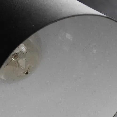 Kela - Nordic Wall Lamp  BO-HA   