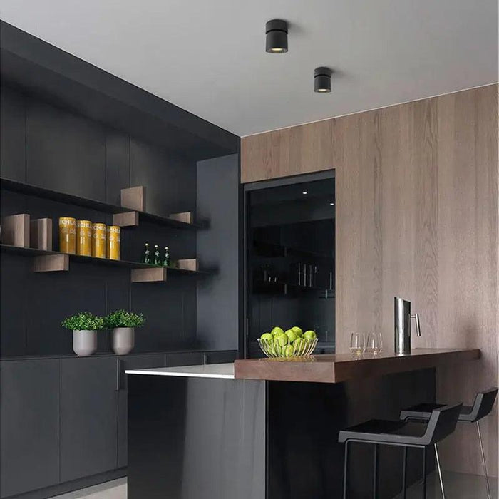 Norell - Nordic Mounted Ceiling Light  BO-HA   