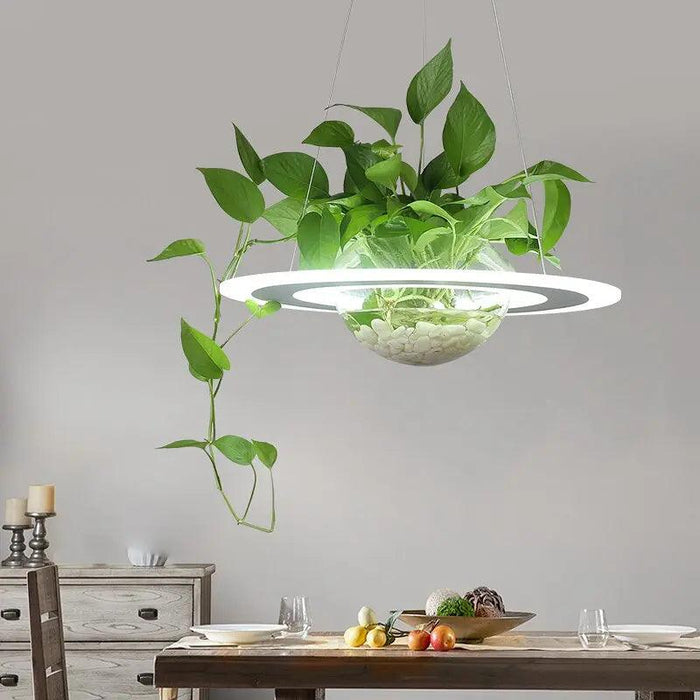 Ragna - Planter Light Table Pendant  BO-HA   