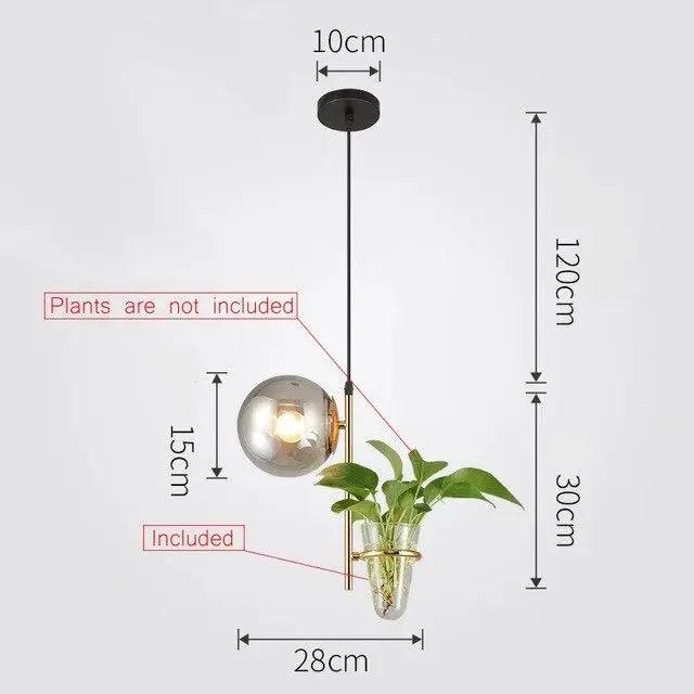 Tora - Pendant Planter Light  BO-HA 1 Head Black / Gray Cold White 