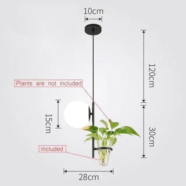 Tora - Pendant Planter Light  BO-HA 1 Head Black / White Cold White 