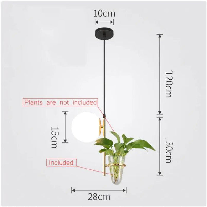 Tora - Pendant Planter Light  BO-HA 1 Head Gold / White Cold White 